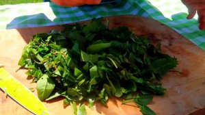 Как быстро заготовить щавель без стерилизации