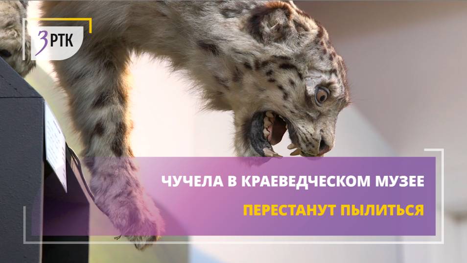 Чучела в краеведческом музее перестанут пылиться