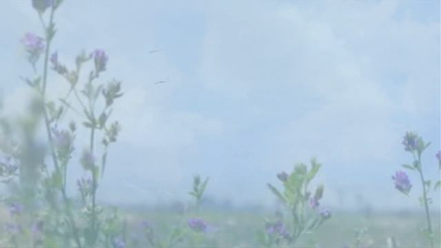 Origen - Dance Of The Clouds