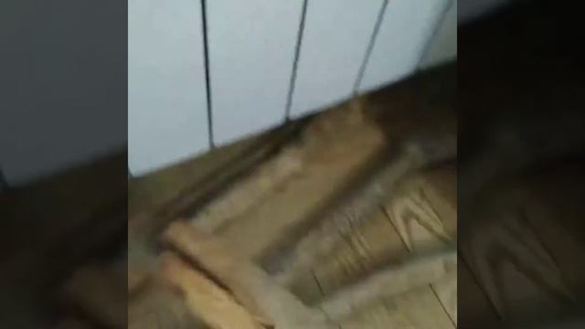 Коряги для макраме.Как обработать корягу для макраме