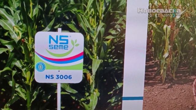 Otkos 1. april 2023 смотреть онлайн