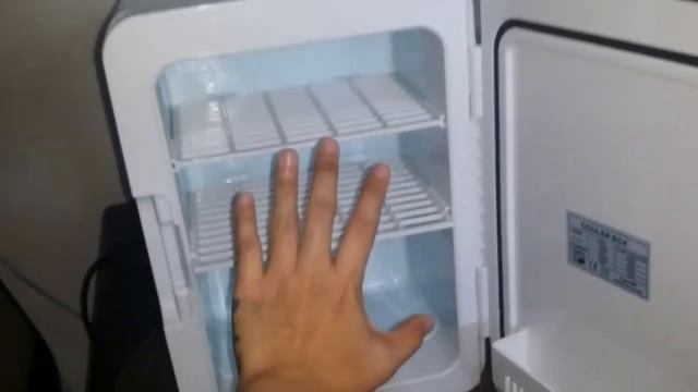 Thermoelectric Cooler And Warmer Portable Mini Refrigerator Unboxing Review