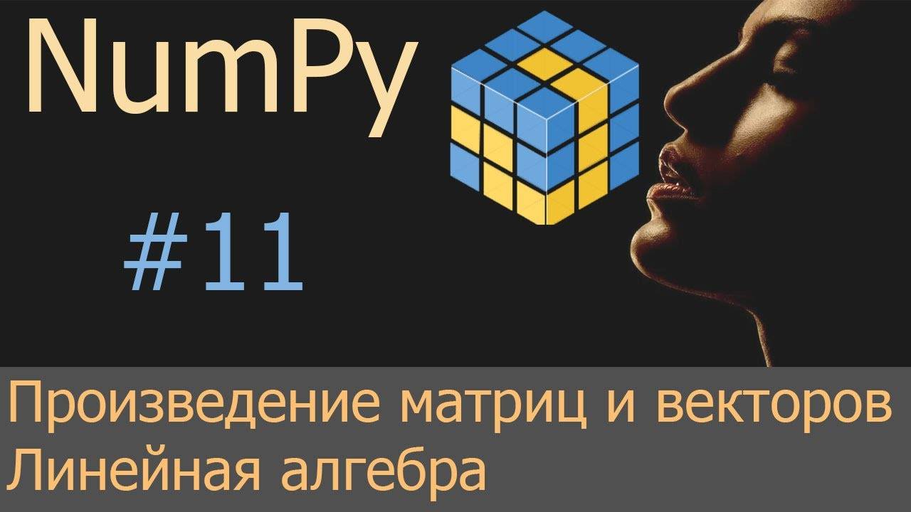 #11. Произведение матриц и векторов, элементы линейной алгебры | NumPy уроки