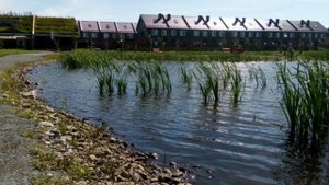 Пригородный простор 3