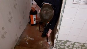 Как избавиться от крыс под полом на первом этаже