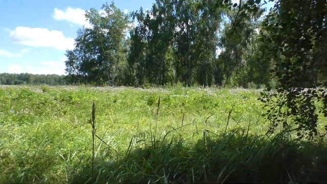 Копаю Лесок рядом смотреть онлайн