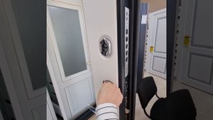 Входная дверь Верта Зеркало (Антарес)