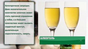 ЧЕМ НЕЛЬЗЯ КОРМИТЬ СОБАК?