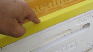 финский улей Bee Box c корпусами и магазинами от улья Bienenhaus ( биненхауса )