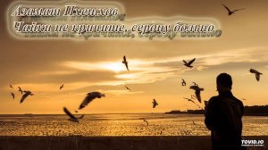 Азамат Пхешхов   Чайки не кричите, сердцу больно