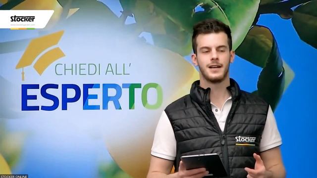 CHIEDI ALL' ESPERTO: GLI AGRUMI IN VASO - LIVE 2 смотреть онлайн