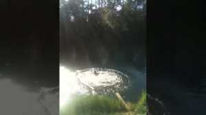 на реке Суходреве