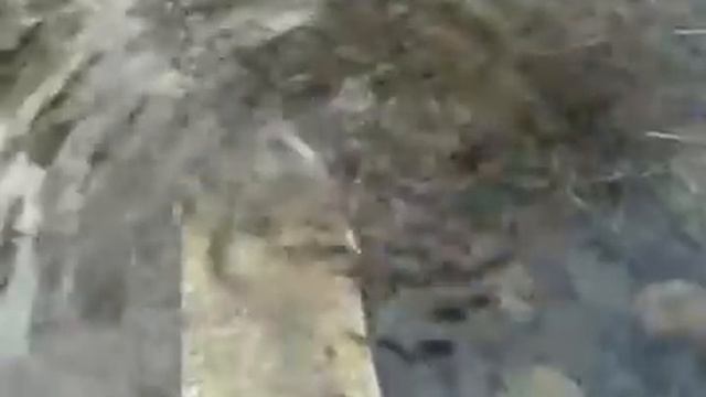 Вяземский теплый источник 2021