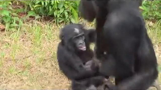 Любви покорны все смотреть онлайн