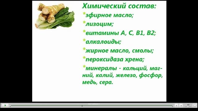 Хрен Полезные свойства смотреть онлайн