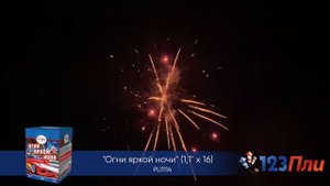 Огни яркой ночи PLI1114