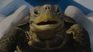 Соник в кино Пробежка с черепахой 4К
