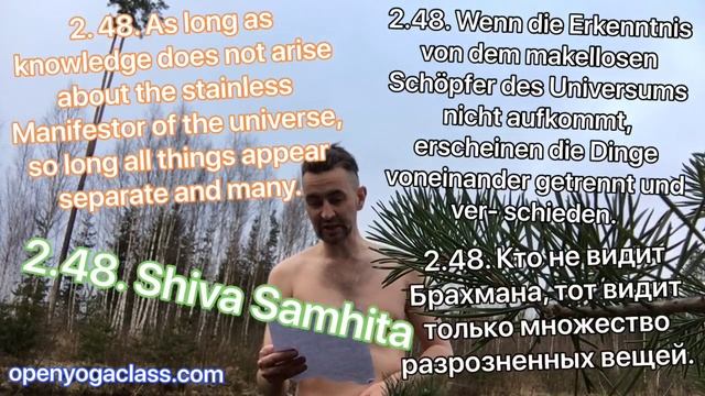 2.48. Шива Самхита Английский Немецкий методом Мантра Йоги смотреть онлайн
