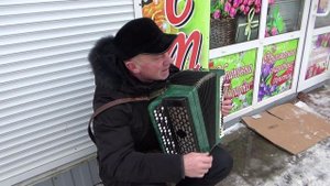 Рыночный баянист. Полоцкий рынок. Баянист в Полоцке. Беларусь.