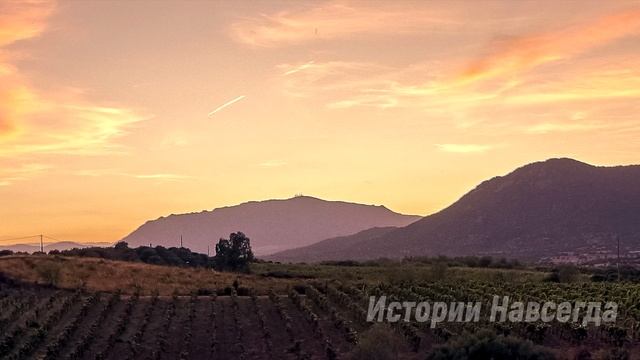 Незаслуженно уволенный хирург не смог пройти мимо и приютил бродяжку с малышкой. А вернувшись…