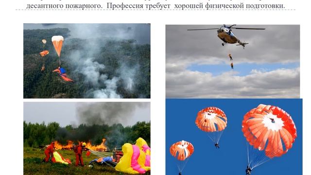 Мастер класс Лесное и лесопарковое хозяйство