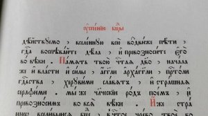 ?Успение Пресвятыя Богородицы ?Гл.4?Ирмосы Канона Иоа́нна Дамаскина? Припевы + Задостоиник (9-а п.)