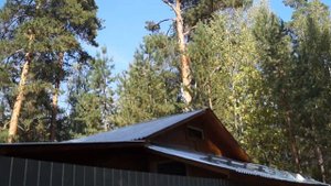 Прилегающая территория к участкам