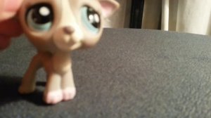 Ваши пожелания и вопросы