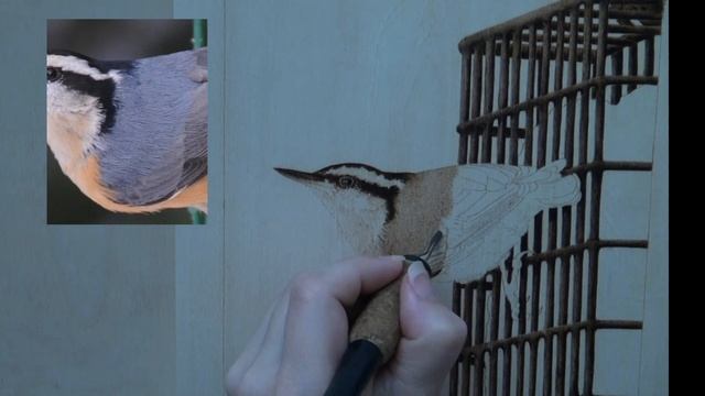 Pyrography Techniques Nuthatch Bird wood burning tutorial смотреть онлайн