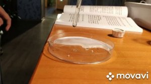 Реакция между хлоридом натрия и нитратом серебра