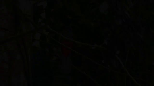 Расслабляющая музыка снимает стресс?Нежная лечебная музыка здоровья и для успокоения нервной систем смотреть онлайн