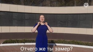 Ты же выжил, солдат(на жестовом языке)
