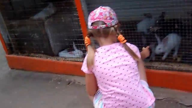 Мы ходили в ЗООПАРК! МАША СУПЕР кормит медведя, павлина и маленьких кроликов! смотреть онлайн