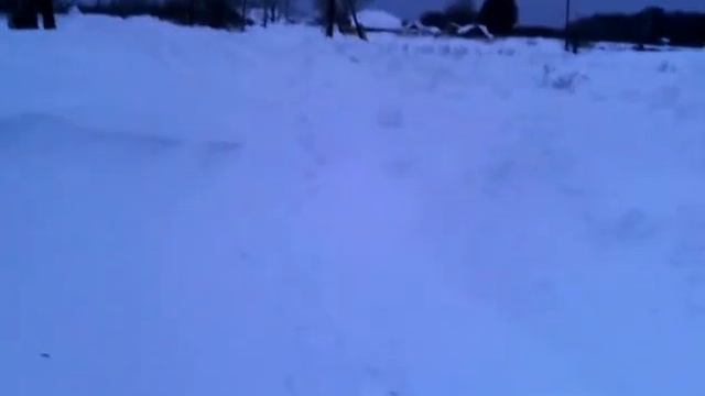 Колыванский р-он,с.Пихтовка,ул.Кирова
