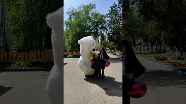 Растрогали до слез таким поздавлением..!Поздравление от белого медведя