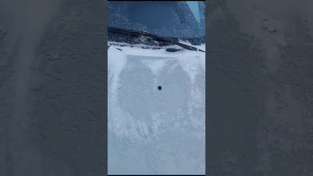 Атжар Ларгус Ижевск- отзыв смотреть онлайн