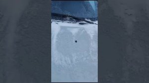 Атжар Ларгус Ижевск- отзыв