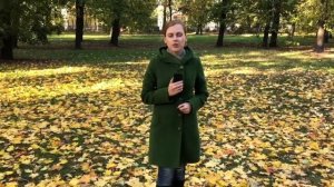 Картина Левитана "Золотая осень"