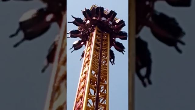 Это самый лучший день рождения в моей жизни ?☺☺ мама спасибо тебе за день рождения ?????? смотреть онлайн