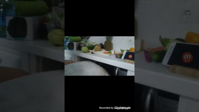 Выбор морской свинки? смотреть онлайн