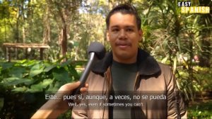 Easy Spanish -  Comida sana