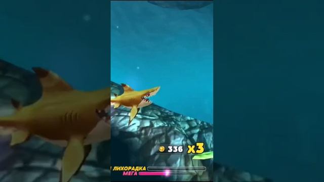 Чернопëрая Рифовая акула сошла с ума!!! Hungry shark World #shorts смотреть онлайн