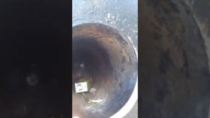 БУЛЬБОМЁТ