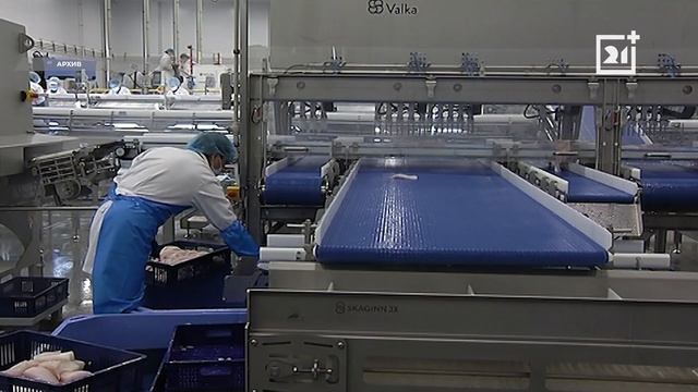 Северяне узнают, как изменится жизнь учеников и учителей смотреть онлайн