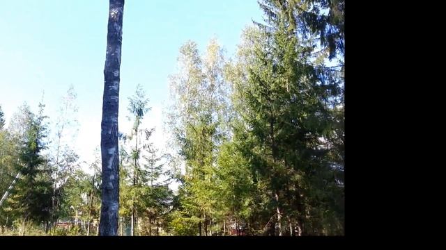 Купить участок рядом  с СПб,  Заозерное - Медное Озеро 3 Карельский перешеек, в элитном месте