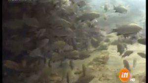 El barco hundido en Ostional