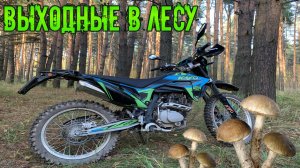 Покатушки в Лесу на Kayo T2 Enduro и Поиск Грибов ) Выходные в Лесу