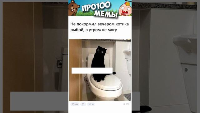 Мемы и приколы с озвучкой #мемы #коты #приколы #shorts #угар #мемыпро100 #коты