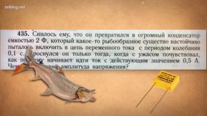 ТУПОРЫЛЫЕ Задания Из Учебников! #2