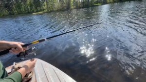 КАРЕЛИЯ: рыбалка на ОНЕГЕ Первые трофеи на спиннинг! #карелия